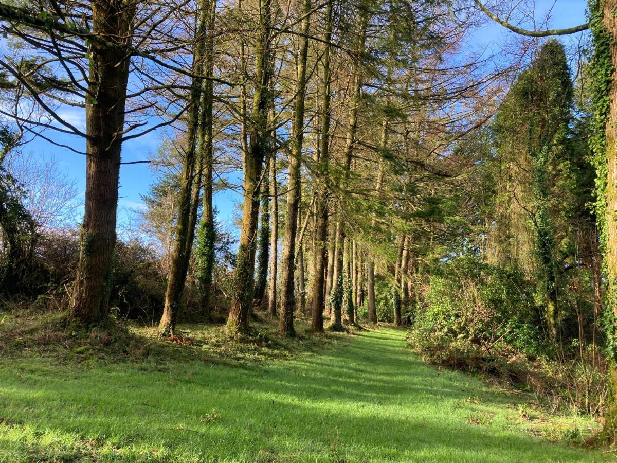 Hollyhocks Holiday Home- 2 Bedroomed Ground Floor Apartment Sleeps 5 Ivybridge Eksteriør billede