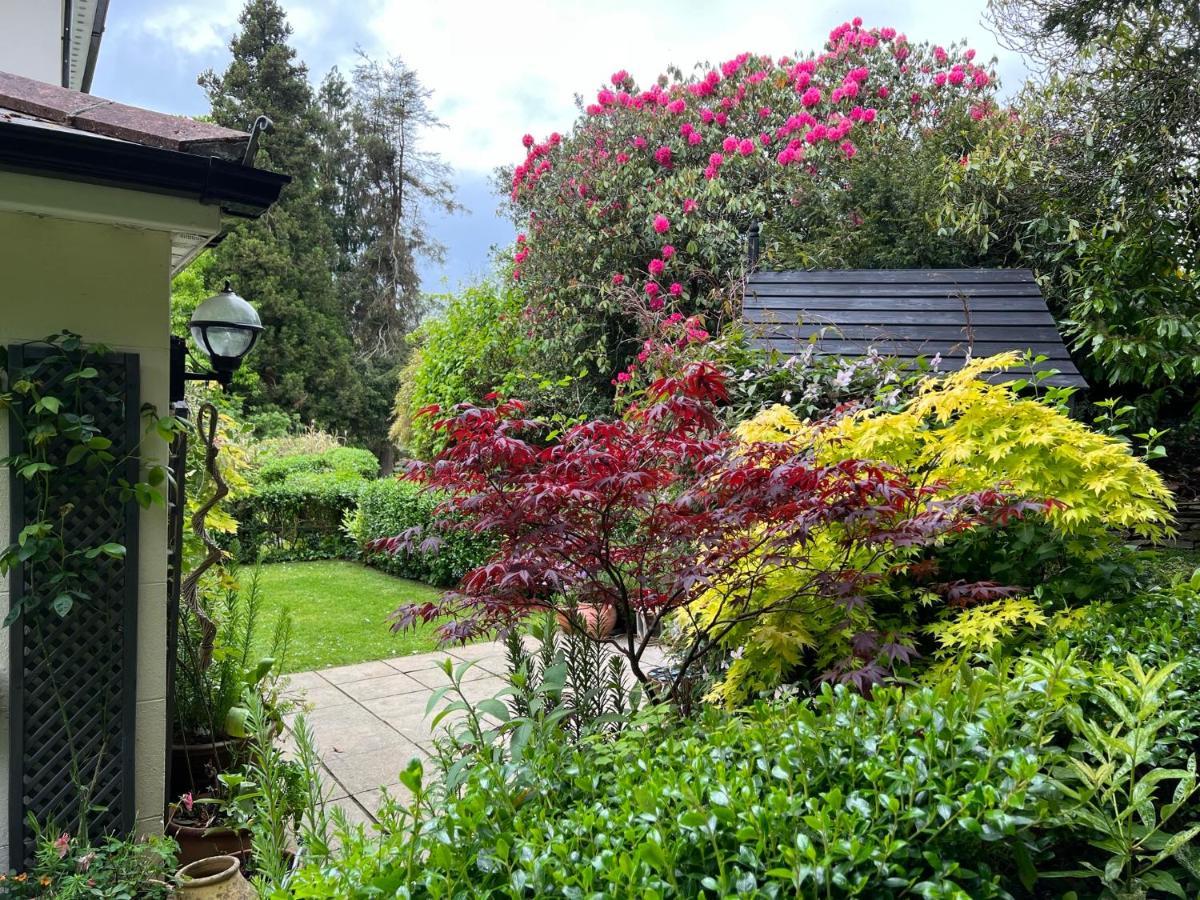 Hollyhocks Holiday Home- 2 Bedroomed Ground Floor Apartment Sleeps 5 Ivybridge Eksteriør billede