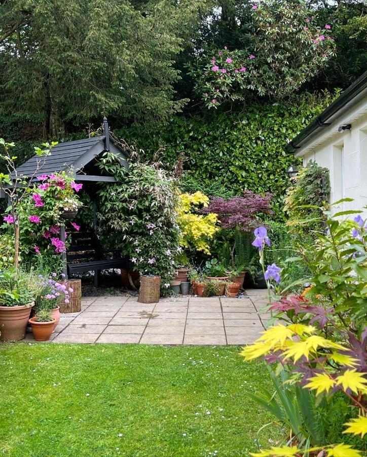 Hollyhocks Holiday Home- 2 Bedroomed Ground Floor Apartment Sleeps 5 Ivybridge Eksteriør billede