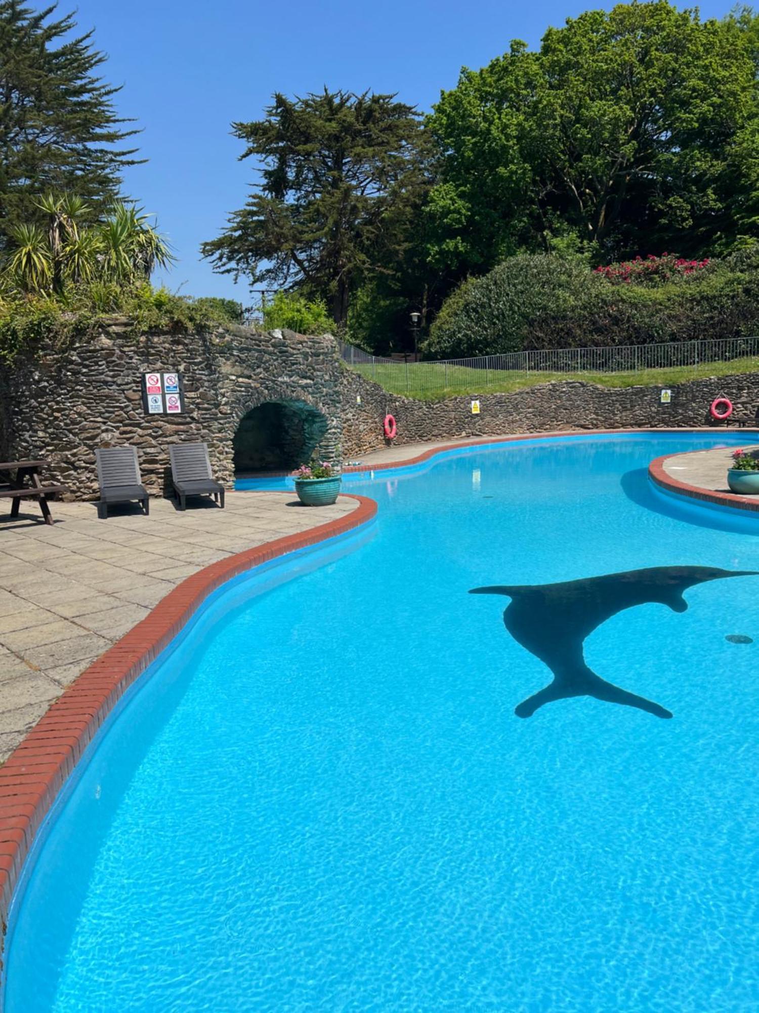Hollyhocks Holiday Home- 2 Bedroomed Ground Floor Apartment Sleeps 5 Ivybridge Eksteriør billede